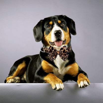 Dog Collar with Bow, Cotton & Webbing, Detachable Bowtie Dog Collar, Adjustable Dog Collars and Leash for Small Medium Large Dogs (S, Leopard Print)