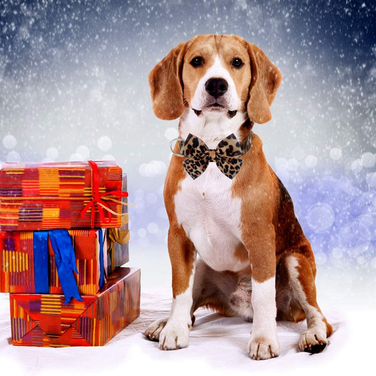 Dog Collar with Bow, Cotton & Webbing, Detachable Bowtie Dog Collar, Adjustable Dog Collars and Leash for Small Medium Large Dogs (S, Leopard Print)
